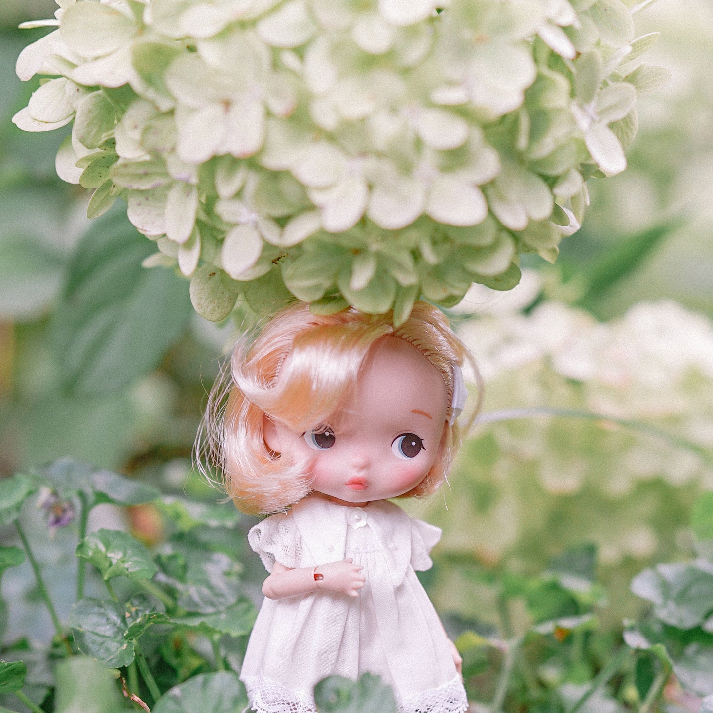 【QLYwork】the 8th Hachidoll-Sunny(sold out)