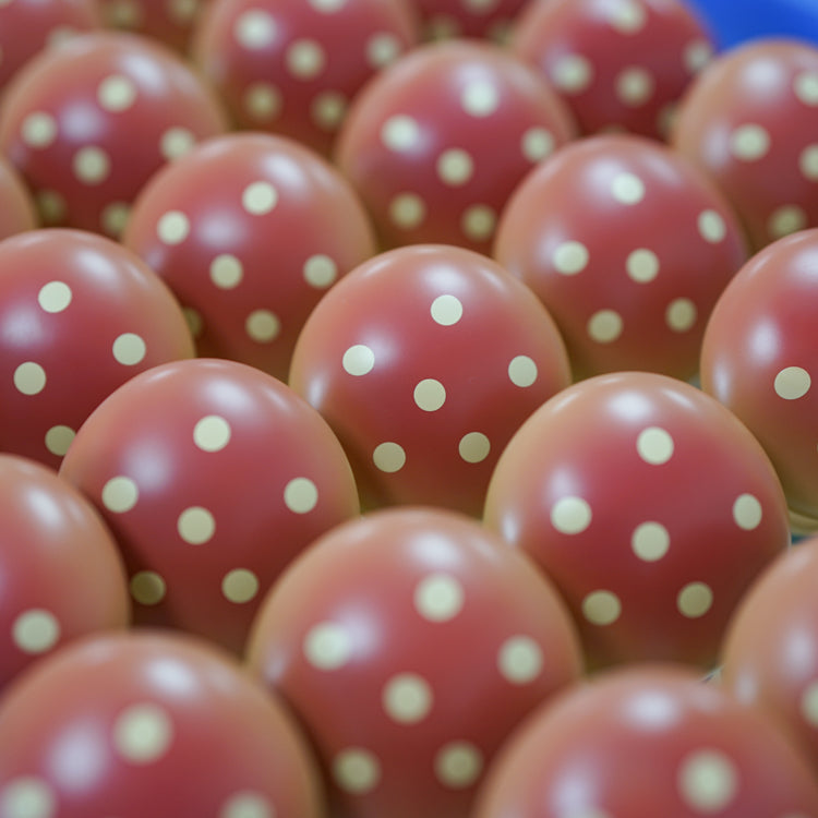 Dugugu——Diaper mushroom(instock)