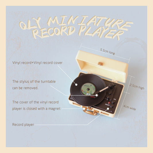 【QLYwork】QLY miniature record player(sold out)