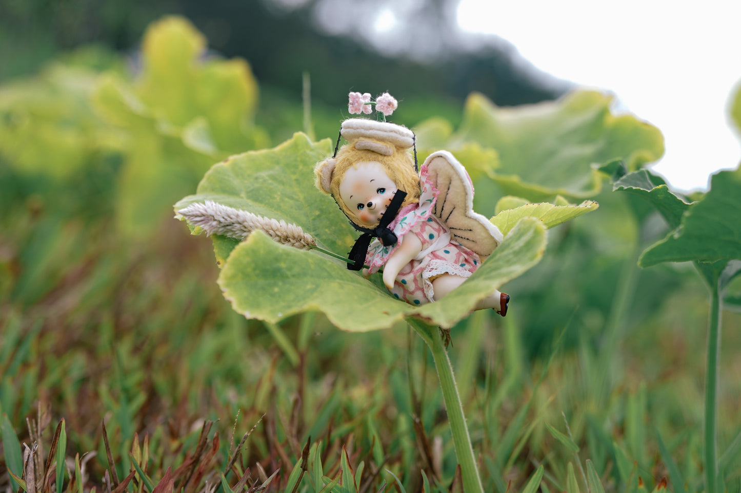 Light’s Closet【Flutter Butterfly Set】（instock）